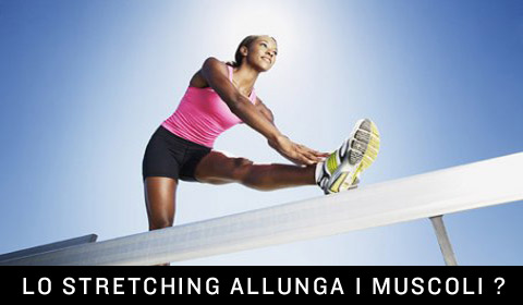 Lo stretching allunga davvero i muscoli?